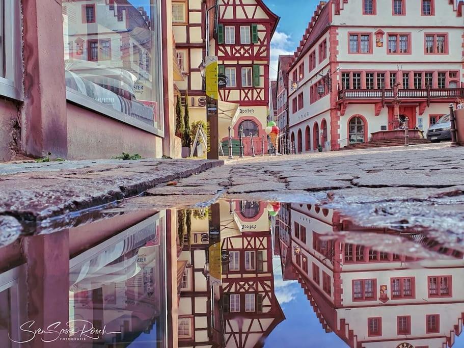 Ferienwohnung Zwischen Weinheim Und Hemsbach Extérieur photo