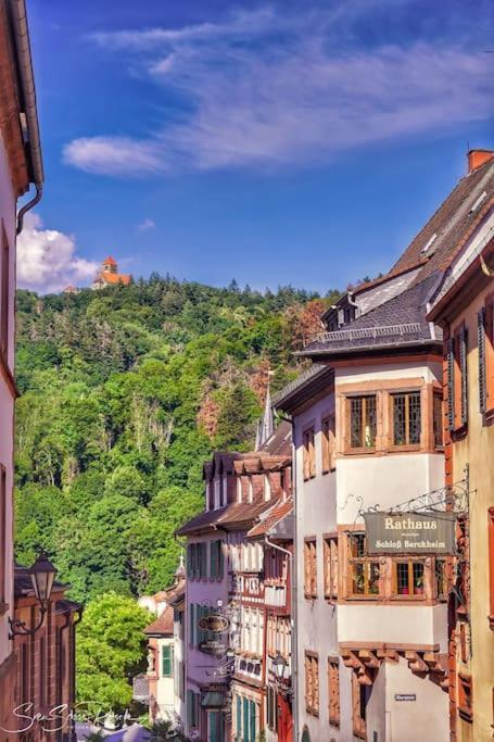 Ferienwohnung Zwischen Weinheim Und Hemsbach Extérieur photo